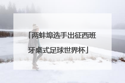 两蚌埠选手出征西班牙桌式足球世界杯