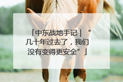 中东战地手记｜“几十年过去了，我们没有变得更安全”