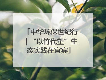 中华环保世纪行｜“以竹代塑”生态实践在宜宾