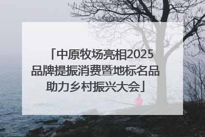 中原牧场亮相2025品牌提振消费暨地标名品助力乡村振兴大会