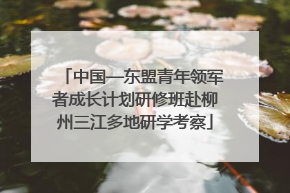 中国—东盟青年领军者成长计划研修班赴柳州三江多地研学考察