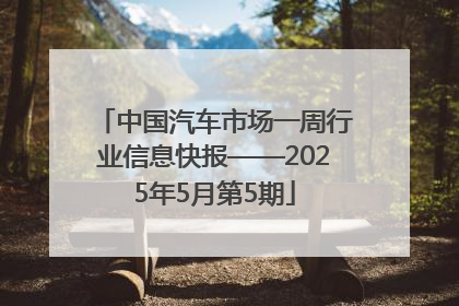 中国汽车市场一周行业信息快报——2025年5月第5期