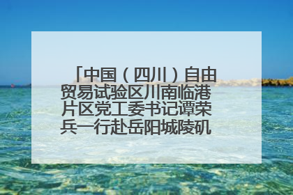 中国（四川）自由贸易试验区川南临港片区党工委书记谭荣兵一行赴岳阳城陵矶综保区考察