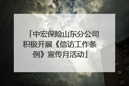 中宏保险山东分公司积极开展《信访工作条例》宣传月活动
