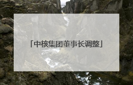 中核集团董事长调整