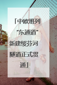 中欧班列“东通道”新建绥芬河隧道正式贯通
