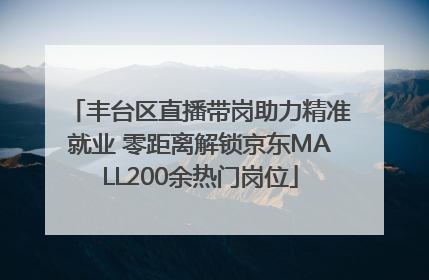 丰台区直播带岗助力精准就业 零距离解锁京东MALL200余热门岗位