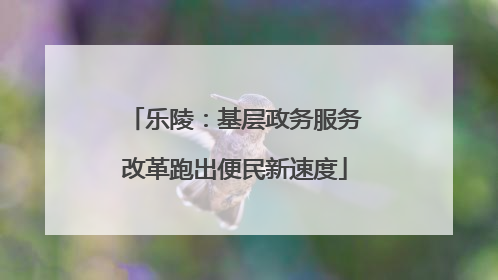 乐陵：基层政务服务改革跑出便民新速度