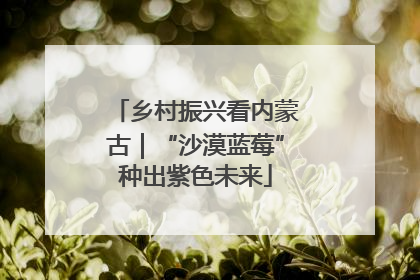 乡村振兴看内蒙古｜“沙漠蓝莓”种出紫色未来