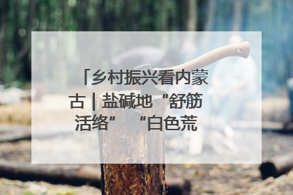 乡村振兴看内蒙古｜盐碱地“舒筋活络” “白色荒漠”长出吨粮田