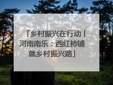乡村振兴在行动丨河南南乐：西红柿铺就乡村振兴路