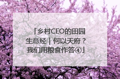 乡村CEO的田园生意经｜何以天府？我们用粮食作答④
