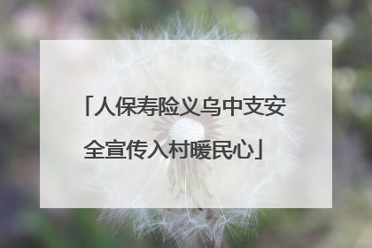 人保寿险义乌中支安全宣传入村暖民心