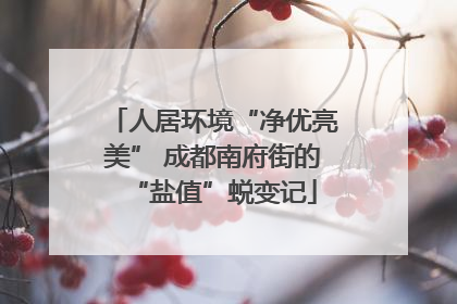 人居环境“净优亮美” 成都南府街的“盐值”蜕变记