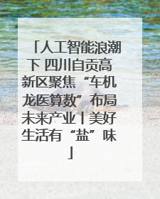人工智能浪潮下 四川自贡高新区聚焦“车机龙医算数”布局未来产业丨美好生活有“盐”味