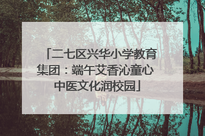 二七区兴华小学教育集团：端午艾香沁童心 中医文化润校园