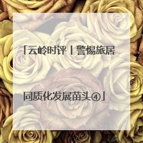 云岭时评丨警惕旅居同质化发展苗头④