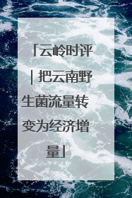 云岭时评｜把云南野生菌流量转变为经济增量