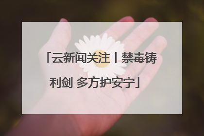云新闻关注丨禁毒铸利剑 多方护安宁