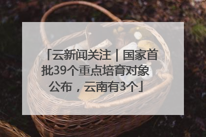 云新闻关注｜国家首批39个重点培育对象公布，云南有3个