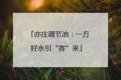 亦庄调节池：一方好水引“客”来