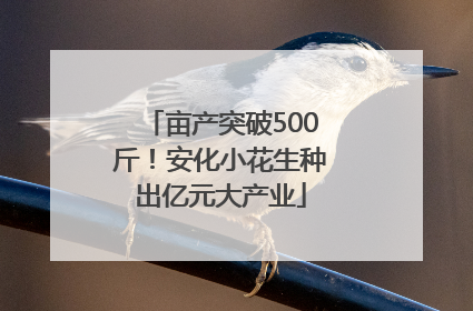 亩产突破500斤！安化小花生种出亿元大产业
