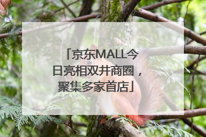京东MALL今日亮相双井商圈，聚集多家首店