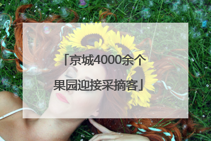 京城4000余个果园迎接采摘客