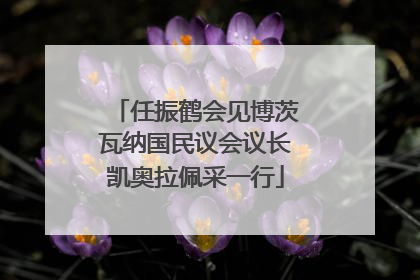 任振鹤会见博茨瓦纳国民议会议长凯奥拉佩采一行