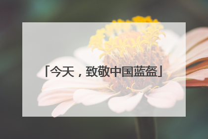 今天，致敬中国蓝盔