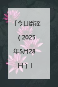 今日辟谣（2025年5月28日）