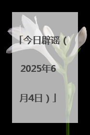 今日辟谣（2025年6月4日）