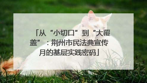 从“小切口”到“大覆盖”：荆州市民法典宣传月的基层实践密码