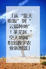 从“靠天吃饭”到“云端种地”！莱芜区“空天地网”织出数字农业新图景