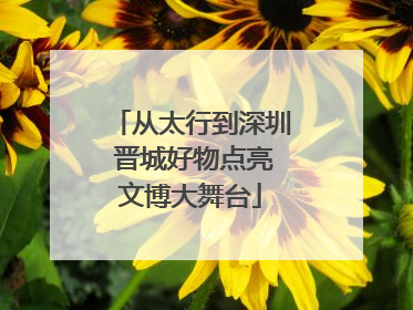 从太行到深圳 晋城好物点亮文博大舞台