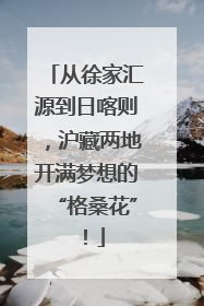 从徐家汇源到日喀则，沪藏两地开满梦想的“格桑花”！