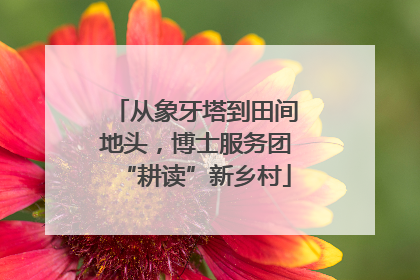 从象牙塔到田间地头，博士服务团“耕读”新乡村