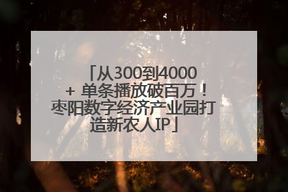 从300到4000+ 单条播放破百万！枣阳数字经济产业园打造新农人IP
