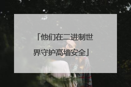 他们在二进制世界守护高墙安全