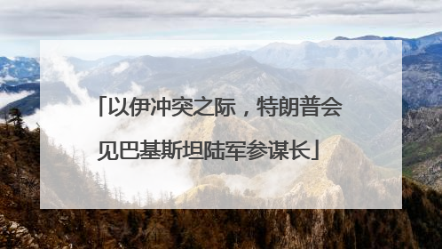 以伊冲突之际，特朗普会见巴基斯坦陆军参谋长