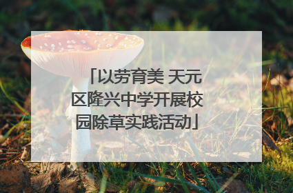以劳育美 天元区隆兴中学开展校园除草实践活动