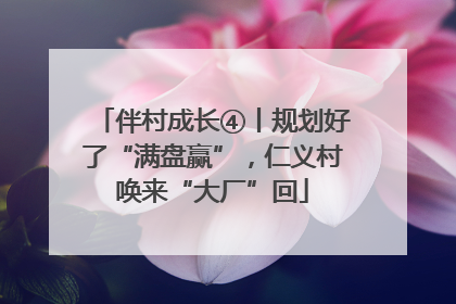 伴村成长④丨规划好了“满盘赢”，仁义村唤来“大厂”回