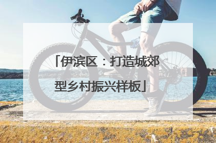 伊滨区：打造城郊型乡村振兴样板