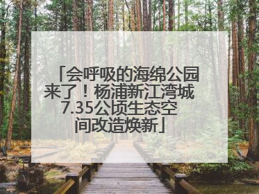 会呼吸的海绵公园来了！杨浦新江湾城7.35公顷生态空间改造焕新