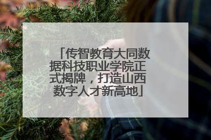 传智教育大同数据科技职业学院正式揭牌，打造山西数字人才新高地