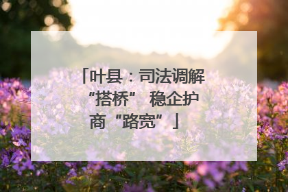 叶县：司法调解“搭桥” 稳企护商“路宽”