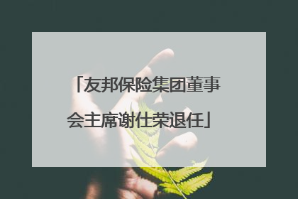 友邦保险集团董事会主席谢仕荣退任