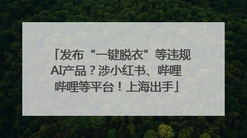 发布“一键脱衣”等违规AI产品？涉小红书、哔哩哔哩等平台！上海出手
