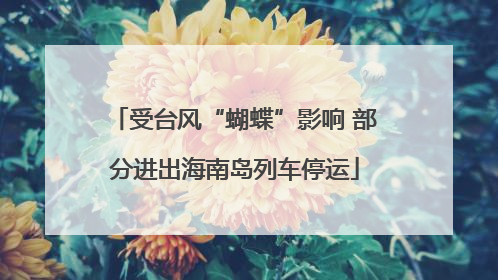 受台风“蝴蝶”影响 部分进出海南岛列车停运