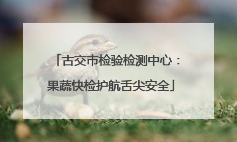 古交市检验检测中心：果蔬快检护航舌尖安全